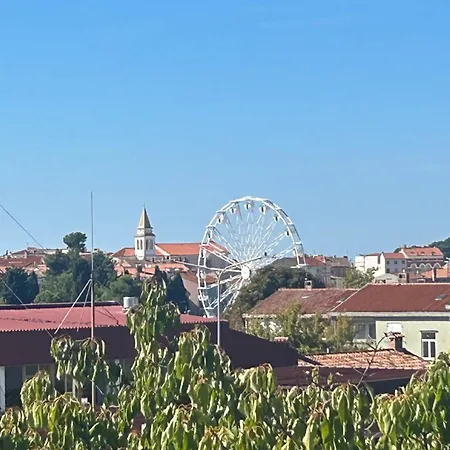 Oliva 2 *